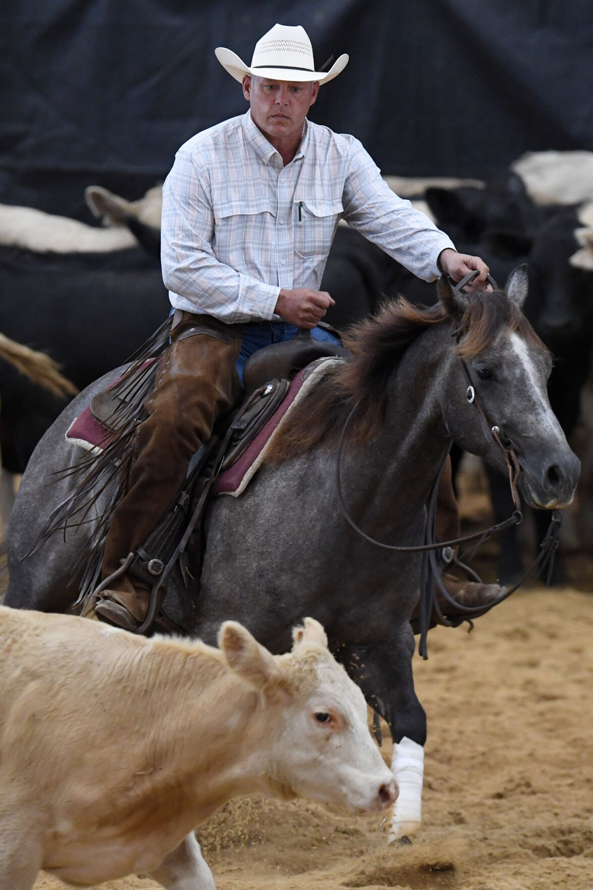 Michelle Lynn Holsey Foundation NCHA Cutting & Benefit